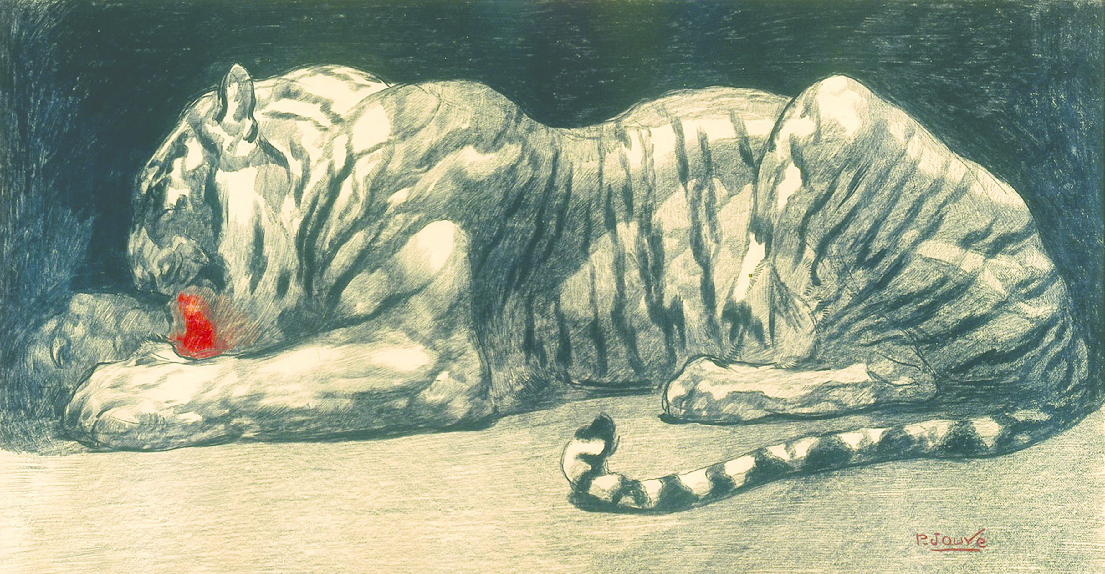 Tigre couché.